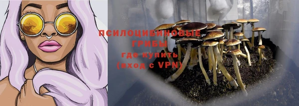 герыч Инсар