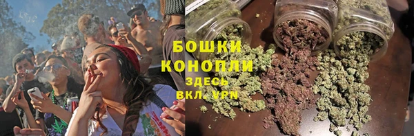 прущая мука Инта