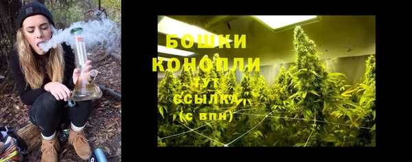 прущая мука Инта