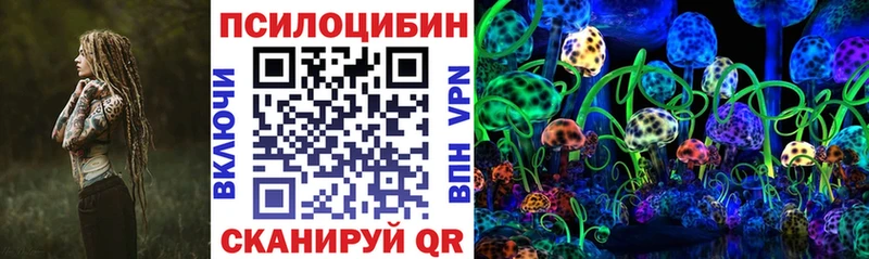 Псилоцибиновые грибы Magic Shrooms  Купить  Гусев 